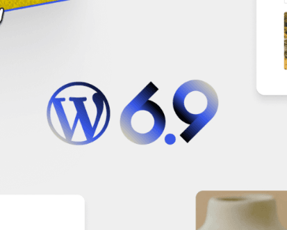 WordPress 6.9 logo on a blue background.